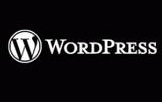Wordpress category slug