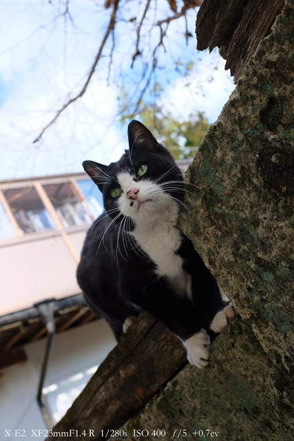 富士フィルム X−E2とXF23mm F1.4で撮影した写真