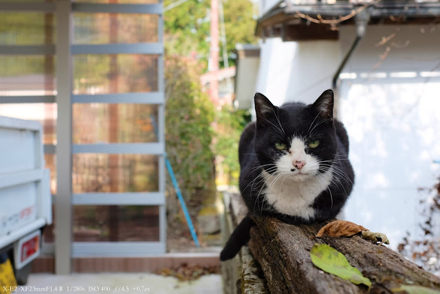 富士フィルム X−E2とXF23mm F1.4で撮影した写真