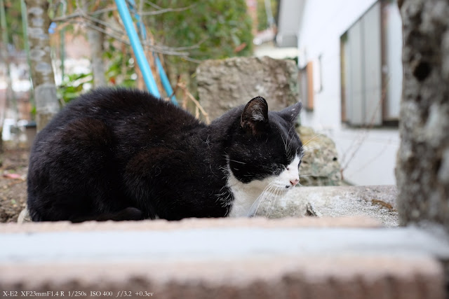 富士フィルム X−E2とXF23mm F1.4で撮影した写真