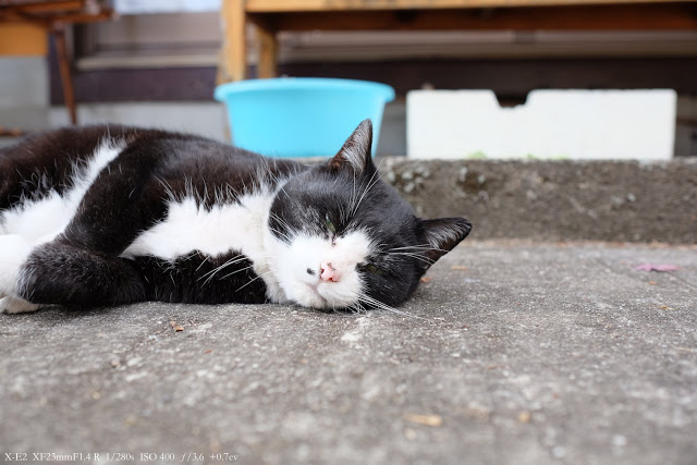 富士フィルム X−E2とXF23mm F1.4で撮影した写真