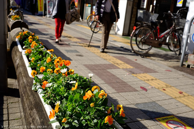 X-E2とXF23mm F1.4Rで撮影した写真